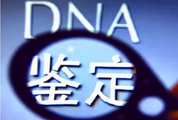 江西省匿名DNA亲子鉴定多少钱，江西省隐私亲子鉴定详细流程及材料