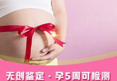 内蒙古怀孕了如何做胎儿亲子鉴定,内蒙古办理无创产前亲子鉴定大概价格