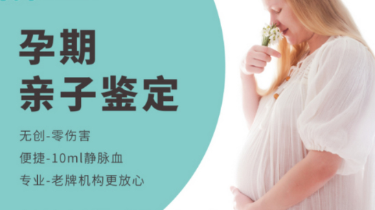 在葫芦岛怀孕几个月如何办理怀孕亲子鉴定,葫芦岛做怀孕亲子鉴定准不准