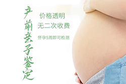 武汉刚怀孕需要怎么办理胎儿亲子鉴定，武汉无创孕期亲子鉴定收费明细