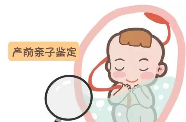 在辽宁省怀孕几个月怎么做胎儿亲子鉴定,辽宁省办理孕期亲子鉴定准不准确