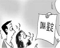 濮阳DNA亲子鉴定中心在哪，濮阳亲子鉴定需要的材料